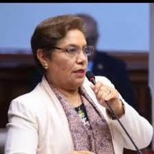 HECTOR CANGALAYA (@hjcv1961)