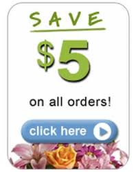 Maybe you would like to learn more about one of these? El Paso Florist Flower Delivery By Executive Flowers