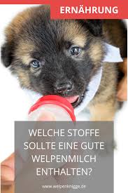 Pin Auf Ernahrung Von Welpen Welpenfutter