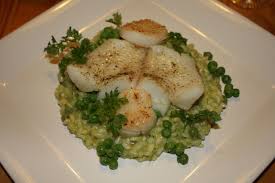 Heilbuttfilet Mit Jakobsmuschel Auf Erbsenrisotto Rezept Rezept Heilbutt Rezepte Risotto