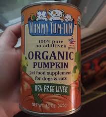 With location and activity tracking, these wearable trackers and collars can help make sure your dog or cat is. 20 Boyfriend Fails That Can Make Any Girl Grit Her Teeth