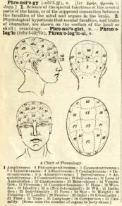 phrenology wikipedia