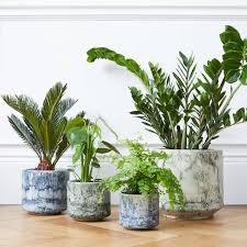 Find a wide selection of indoor plant pots at great value on athome.com, and buy them at your local at home store. Indoor Pots Delivered In London Patch