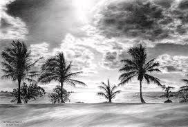 Black and white sun clipart png. Beach Sunset Drawing Black And White