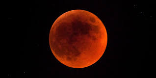 When is the next full moon? How To Watch Next Week S Super Flower Blood Moon Hypebeast