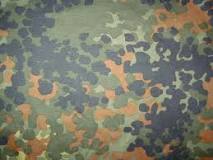 Flecktarn - Wikipedia