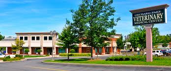 It's a place where my kids the correct address for maranatha missionary outreach is: Veterinarian Buffalo Ny Opvmc Buffalo Ny