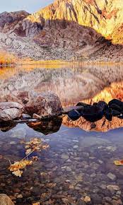 4k amoled wallpaper pro apk. Amoled 4k Wallpapers Pro For Android Apk Download