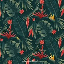 We did not find results for: Tropical Seamless Pattern Images Free Vectors Stock Photos Psd