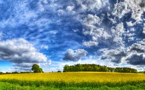 Summer Fields Hd Desktop Wallpapers 4k Hd Download and use 10,000+ 4k wallpaper stock photos for free. hd desktop wallpapers 4k hd