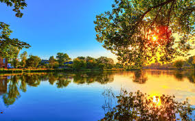 Maybe you would like to learn more about one of these? 14984 Beautiful Nature Wallpapers Desktop Wallpapers 1920x1200 Mocah Hd Wallpapers