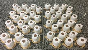 Pour dissiper le sentiment de panique, les gouvernements doivent porter attention à la. Des Gateaux En Forme De Rouleaux De Papier Toilette Pour Tenir Pendant Le Confinement