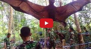 Giant Bat With 6 Ft Wing Span Captured In The Jungles Of The Philippines Fox Bat Megabat Bat