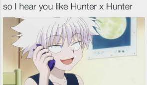 Hunter x hunter (2011) dubbed. Hunter X Hunter Memes To Enjoy Quiz