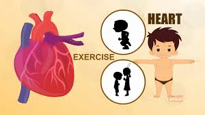 Body parts in tamil these are the lists of general body parts in tamil. Heart Human Body Parts In Tamil Animated Videos Youtube