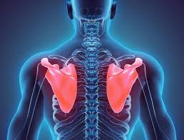Its common symptom is pain or burning sensation in the. Shoulder Blade Pain Causes Symptoms Treatment