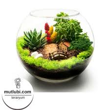 Onun Icin Kucuk Canli Ve Minik Bir Dunya Teraryum Ciftlik Mutlubi Com Teraryum Mutlubi Cicek Com Imagens Minijardins Mini Jardim Em Vaso Jardins Pequenos