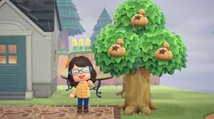 In animal crossing and animal crossing: Animal Crossing New Horizons How To Grow A Money Tree Superparent