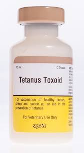Image result for Tetanus