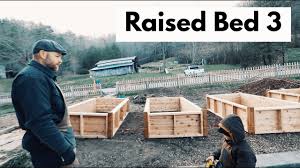 We did not find results for: Odd But Brilliant Way To Fill Raised Garden Beds Youtube