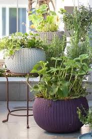 Dekorativ Und Praktisch Blumentopf Knit Von Curver Bild 19 Blumentopf Garten Terrasse Blumen