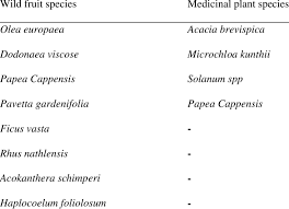 Image result for Haplocoelum