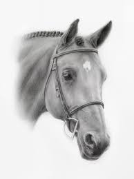 Pin By Elizabeth Koger On Dream Work Horse Drawings Horse Painting Animal Art