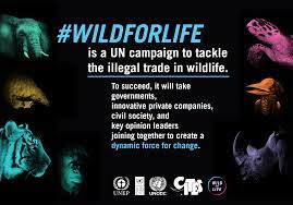 Wild for life