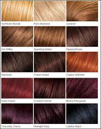 loreal color chart different blonde brown red dark hair