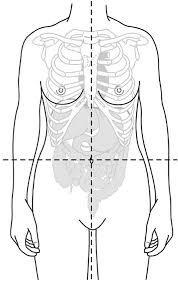 Quadrants divide our bodies into regions for diagnostic and descriptive purposes. Clinical Anatomy Of The Pelvis And Reproductive Tract Obgyn Key