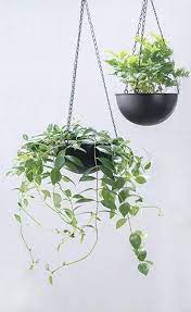 In addition to adding beauty to your home, indoor plants can actually help to purify the air. Amazon Com Riseon Set Of 2 Boho Black Metal Bowl Shaped Plant Hanger Metal Round Hanging Planter Flower Hanging Plants Metal Plant Hangers Hanging Planters
