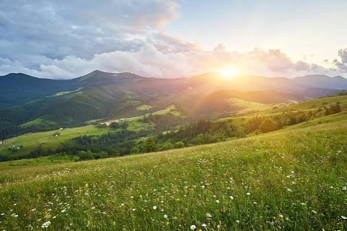 Summer landscape Images - Free Download on Magnific (formerly Freepik)