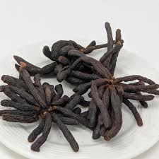 Image result for Xylopia aethiopica