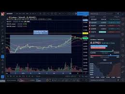 5 billion and 8th biggest cryptocurrency without a. What Is Going On With Ada Price Cryptocurrency