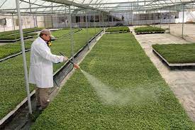 Also include information about any precautions that authorized personnel must use when using each control method. How To Select A Respirator For Use With Pesticides