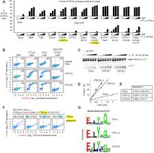 Webmd provides a list of hiv medications used in the u.s. Directed Evolution Improves The Catalytic Efficiency Of Tev Protease Biorxiv
