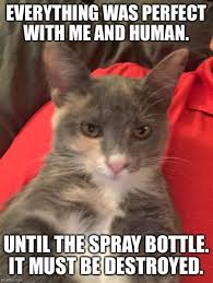 Spray Bottle Memes