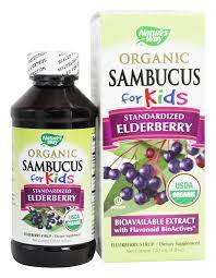 Nature S Way Organic Sambucus For Kids 4 Oz Elderberry Syrup The Organic Market