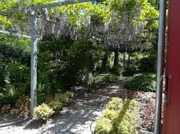 Pflanzen sind die grundlage unseres lebens. Datei Laubengang Im Botanischen Garten Hoxter Jpg Wikipedia