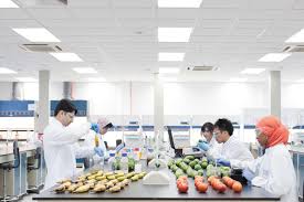 A wide variety of food laboratory testing options are available to you, such as power, usage, and shelf life. Food Coating Made With African Ingredient Aims To Decrease Food Waste