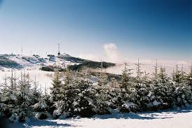 De la fostul telescaun aveti multe. Despre Semenic Romania Prezentare Imagini Informatii Turistice Si Detalii Despre Statiunea Semenic