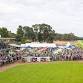 $100,000 MANDURAH CUP - PRC FESTIVE CARNIVAL event image