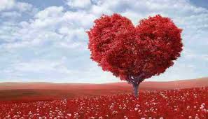 14 februarie, mesaje de valentine`s day, ziua indragostitilor, felicitari de dragobete. Valentine S Day Messages Text Messages Or Sms That You Can Send To Your Loved Ones Ziarul Unirea