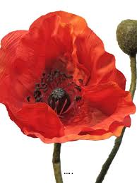 .bouquet de coquelicots coquelicots rouges coquelicots / 5pcs artificial flower bouquets artificial corn poppy flowers. Pavot Artificiel H 70 Cm 2 Fleurs Et 1 Bouton Superbe Fleur Du Site Artificielles Com