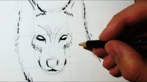 La signification des tatouages au sein d'une tribu apporte on peut deviner les intentions des loups en les contemplant, et je crois que le tatouage tête de loup mandala est en train de guetter son futur. Comment Dessiner Un Loup Croquis Face Profil Tuto Youtube