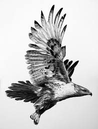 Dream Of Flight William Harrison Hawk Tattoo Eagle Tattoos Bird Drawings