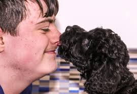 Little Pluto's the cuddly star of school's new support system