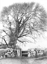 Black And White Pencil Drawings Of Trees Pin By Corne C On Favourite Things Landscape Drawings Landscape Prints Landscape