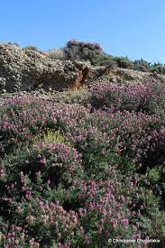 Thanefst6 στις φεβρουάριος 26, 2014, 07:23:58 μμ Ta3idiwtikos Odhgos Krhths Krhtikos Ebenos