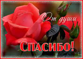 Check spelling or type a new query. Otkrytka Dlya Tebya Spasibo Bolshoe Skachat Besplatno Na Otkritkiok Ru